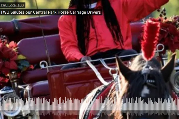animal-welfare-comes-first-twu-local-100s-horse-carriage-drivers-twu-carriages.png