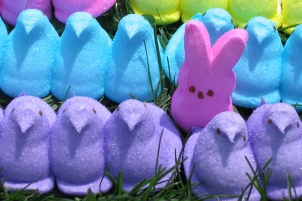 labor-411-union-made-easter-peeps.jpg