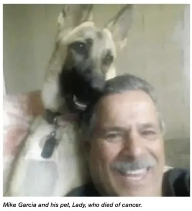 TWU Local 100 Wins Pet Bereavement Leave Provision