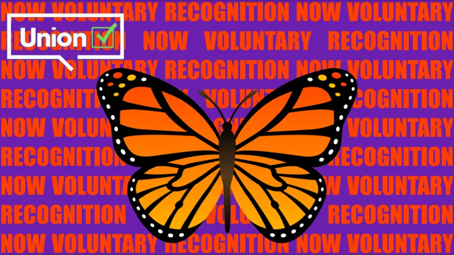 Take Action: Workers at Manhattan Immigration Legal Services Provider Demand Voluntary Recognition