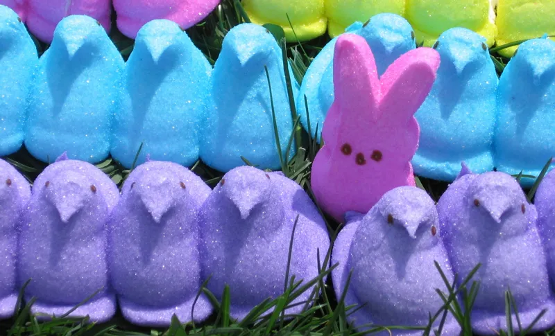 labor-411-union-made-easter-peeps.jpg