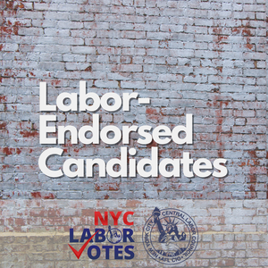 NYC CLC Makes First City Council Endorsements In 2023 Races | New York ...